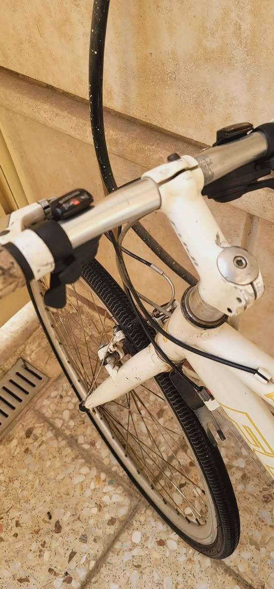 سلام عليكم 
من رخصة الادمن 
بايسكل ماركة فوجي  (FUJI) 
معدن المنيوم
ياباني باله نظيف 
قطعه بلادية
كيورة شاشة شغاله
بريكات شغاله 
العنوان الشعب
السعر 125 الف 
الشراي يتصل ***********
