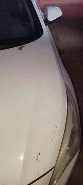 سنواتا  2015 كلين
وارد امريكي ضرره بالعراق بس جهة السائق راس البونيد تعديل بارد ولجامرلوغ مبدل ابلادي والباقي موضح بل صورها بالمنشور وللمعلموات اكثر اتصل
***********

السعر المطلوب 115
