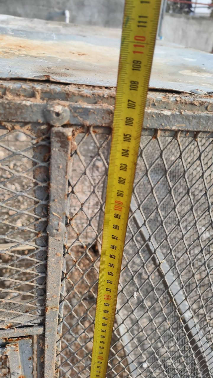 السلام عليكم من رخصة الادمن المحترم 
قفص ثقيل حديد درجه اوله يرهم الدجاج يرهم الطيور يرهم التخزين مثل ماموضح بلصور ارتفاع 110 

عرض 120 

السعر 75 

***********
