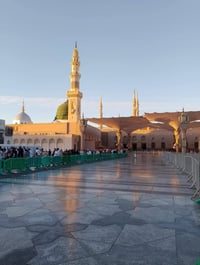 متعهد • صاحب خبره • شركات