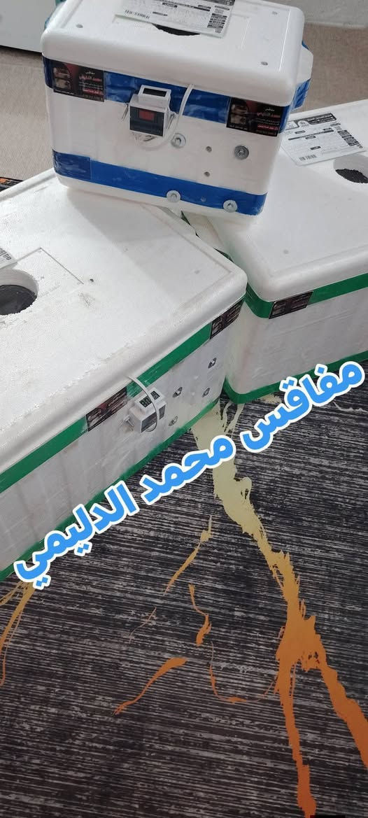 (مفاقس محمد الدليمي)،
فقاسات مصنوعة من مادة الفلين المعزولة للحفاظ على درجة الحرارة المناسبة لتفقيس البيض.

🔹 المواصفات الأساسية:

✅ صناعة محلية بجودة عالية

✅ مزودة بجهاز رقمي للتحكم بدرجة الحرارة

✅ توفير استهلاك الكهرباء

✅ مناسبة لتفقيس بيض الدجاج والطيور الأخرى

✅ سعة مختلفة حسب الطلب

🔹 مميزات المنتج:

سهولة الاستخدام

دقة في ضبط الحرارة

عزل حراري ممتاز

تصميم عملي وخفيف الوزن

يتوفر توصيل جميع محافظات العراق🇮🇶

📞 للحجز أو الاستفسار، تواصل معنا عبر الرسائل أو الاتصال المباشر *********** واتساب
#الجميع
