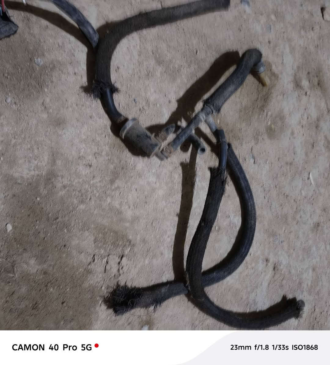 لبيع غراض تفصيخ أدرس ياباني قديم بأسعار مناسبة


**إذا كنت صاحب هذا الإعلان وتريد حذفه لأي سبب، رجاءا أرسل رسالة إلى الدعم الفني**