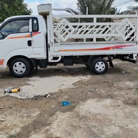 حمل • ٢٠١٥ • كفالة عامة