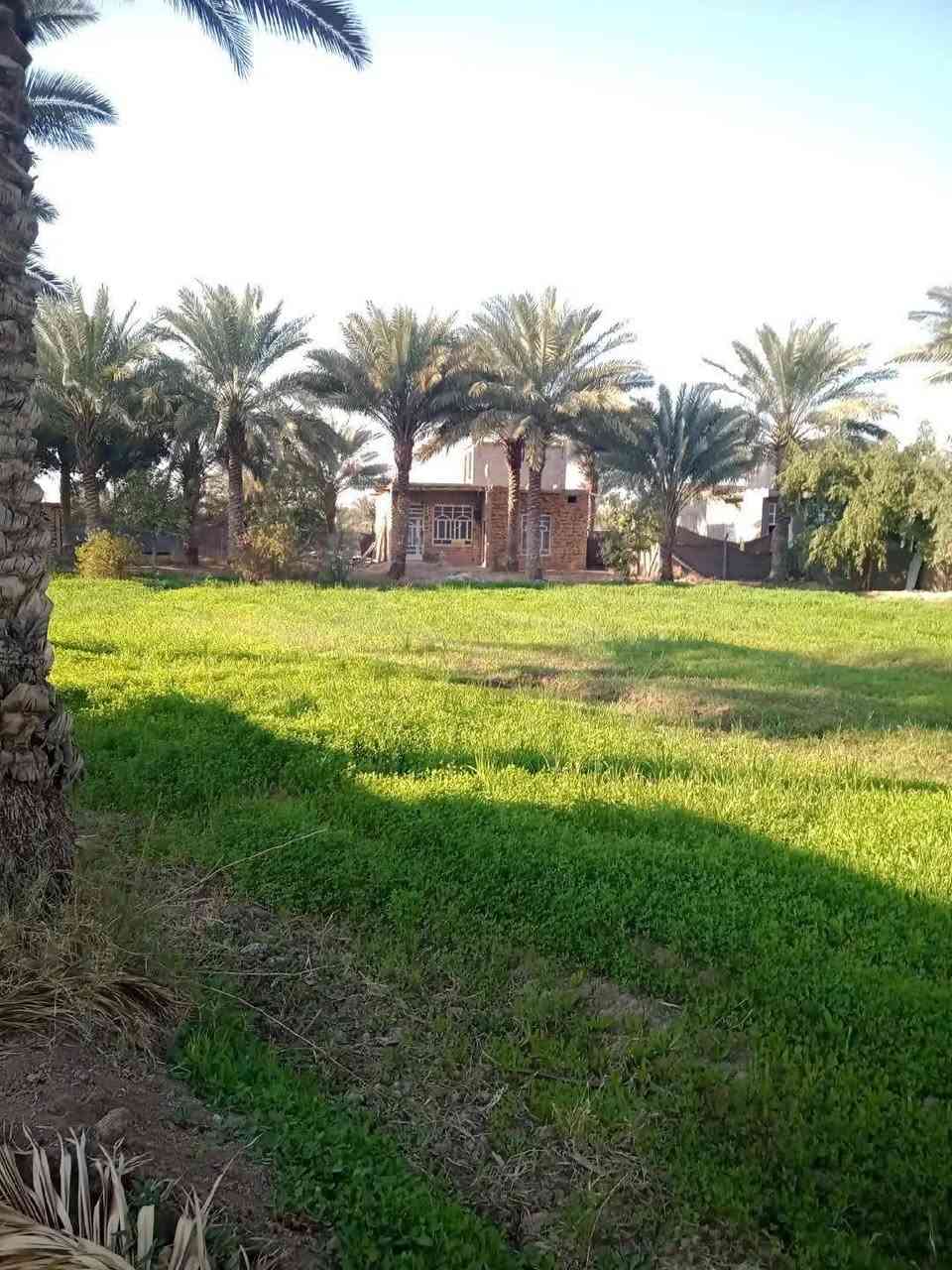 ياالله سلام عليكم.
عرضنا لهذا اليوم مزرعه 3000م
طابو زراعي. سند 25المالك شخص واحد
 تبعد عن شارع كربلاء 750م
خدمات كامله ومزرعه. عدد النخيل 42مع كافه انواع الفواكه والحمضيات وبيت بناء حديث فقط ترميم
العنوان حله بابل قبل معمل الرباع مقابل شارع 80
تفاصيل اكثر مراجعه مكتب الوسام الكائن في زوير الغربي


**إذا كنت صاحب هذا الإعلان وتريد حذفه لأي سبب، رجاءا أرسل رسالة إلى الدعم الفني**