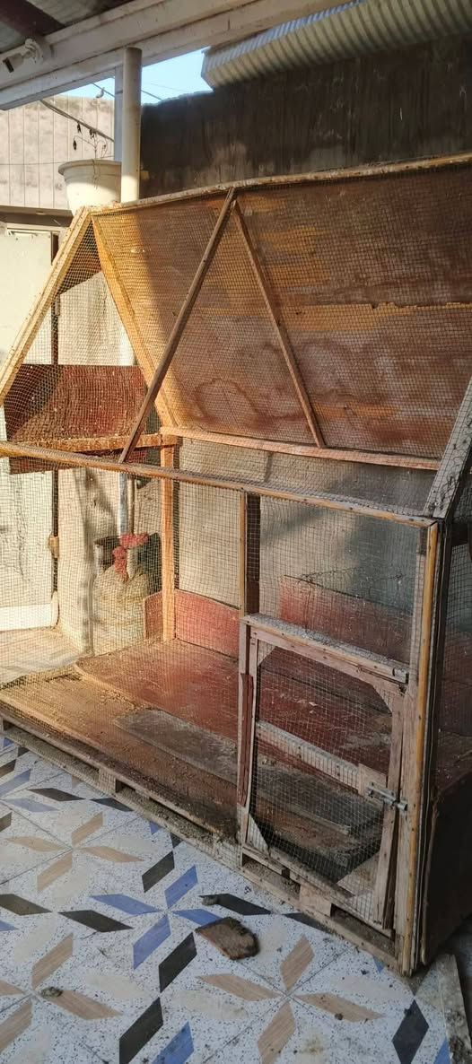 البيع ب٣٠ نتصل ع رقم ***********
