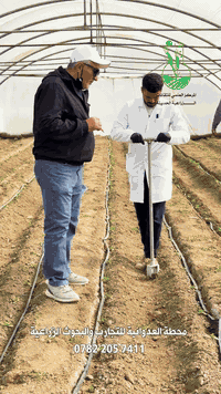 الاخوة المزراعين يفظل اجراء تحليل لتربة البيوت البلاستيكية لمعرفة كمية...
