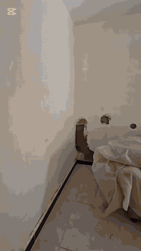 #ترميم منازل وصبغ ابو جود الصباغ ٠٧٨١٣١١٥٢٥٠