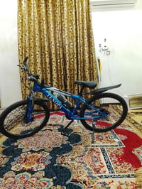 بايسكل • سيزر ويلكاب • رمادي ٥كيلو