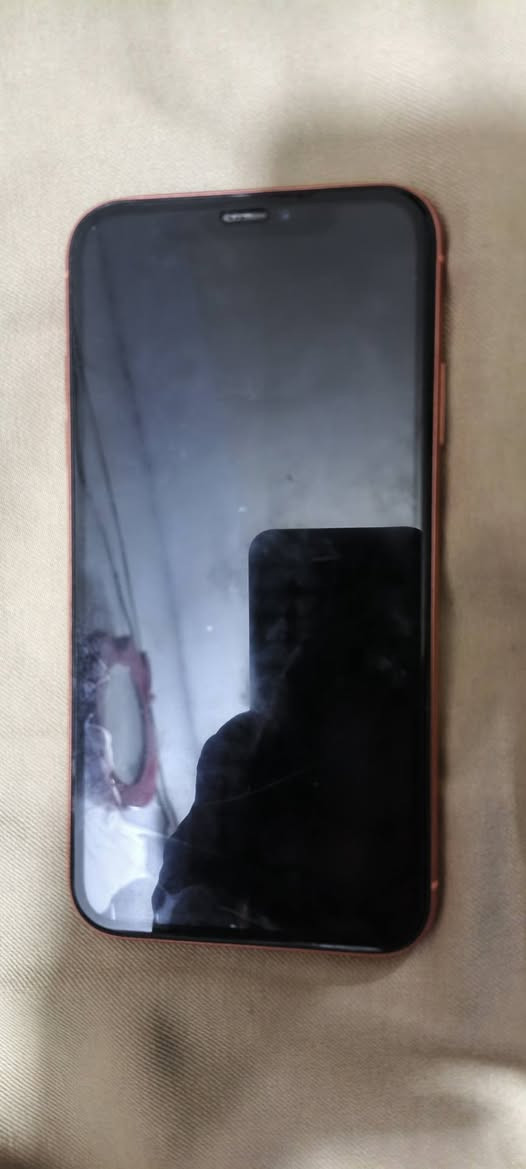 اكس ار ذاكره 64 بي فطور بشاشه وبي حساب ناسي بس جهاز مفتوح وتكدر تستخدمه كله شغال فيس ايدي شغال 120 وبي مجال قليل بغداد حي الخضراء ماعندي توصيل


**إذا كنت صاحب هذا الإعلان وتريد حذفه لأي سبب، رجاءا أرسل رسالة إلى الدعم الفني**