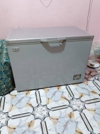 مجمدة • حجم وسط • سماوة الجربوعية