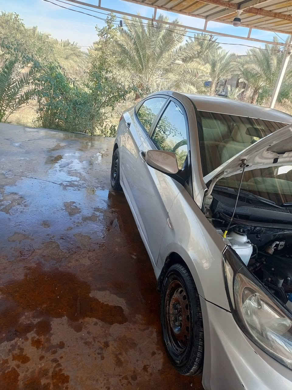 اكسنت ١٤بسمي رقم بغداد مداور ثاني يوم مكينه وكير وحداديه وتبريد وتخم وتاير جدد السياره بيه بس رش جاملغ امامي سعره ٩٠وبيه مجال مكانه ديوانيه قضاء السنيه للاستفسار الاتصال على الرقم التالي ***********
