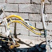 بسكليت • ويل • راني