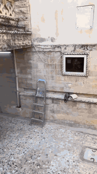 تركيب حلان • مرمر • الموصل