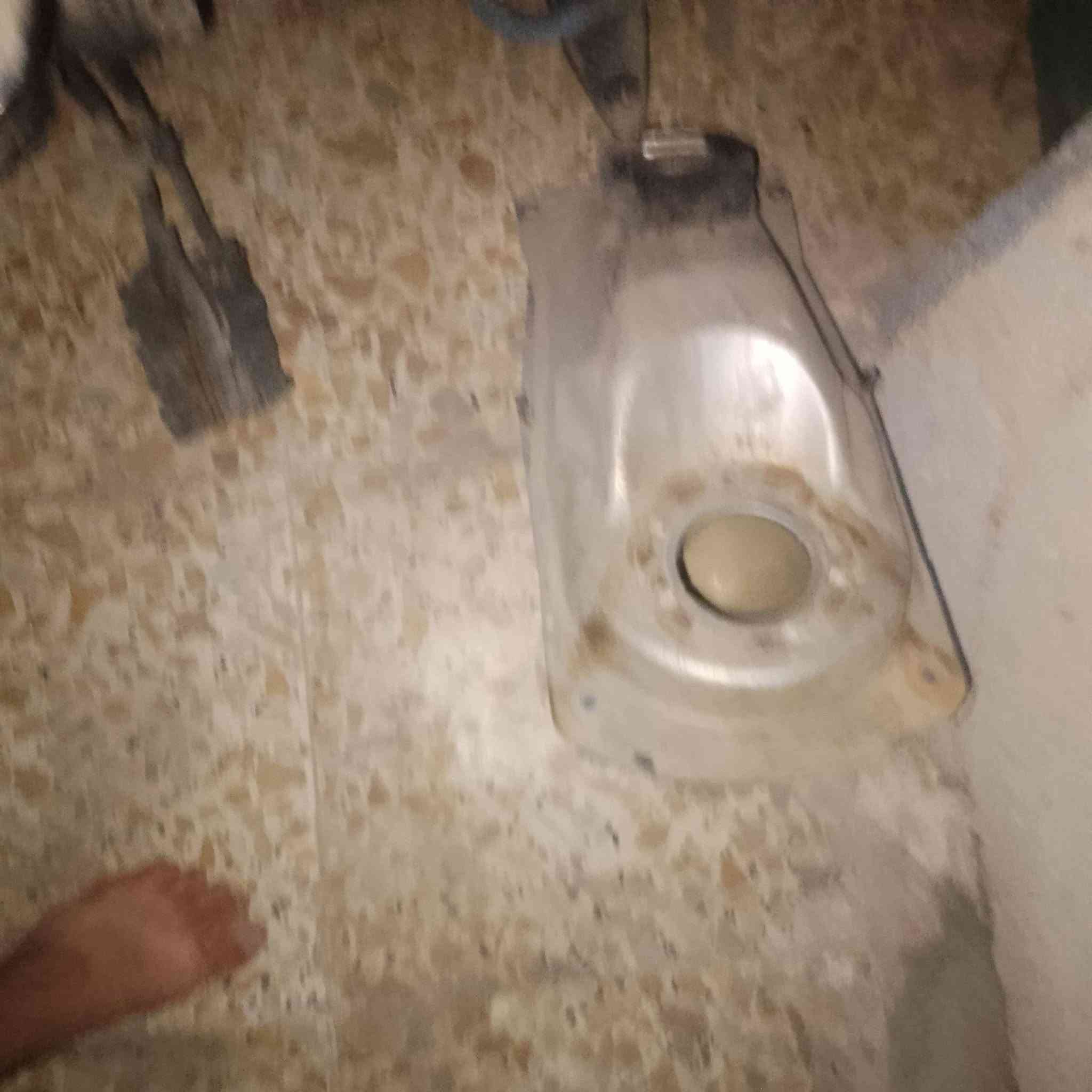 السلام عليكم ورحمة الله وبركاته 
غراض تفصيخ فورزه 
بلاد كلشي تريد موجود 
توصيل جميع محافضات العراق تواصل واتساب ***********
