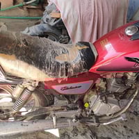 جني • بدون اوراق • بريك امامي