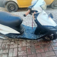 ماكس ثعلب • معدلة • الشعب بوب الشام