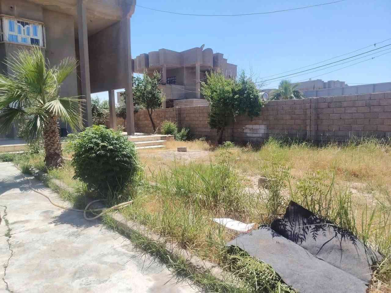 بيت طابقين للبيع ثلث غرف الطابق الثاني الطابق الاول 2 غرفه ممر طويل بيت جاهز قريه الجواعنه جوه الجسر مباشر
للستفسار اتصل ***********
بيت طابقين للبيع ثلث غرف الطابق الثاني الطابق الاول 2 غرفه ممر طويل بيت جاهز قريه الجواعنه جوه الجسر مباشر
