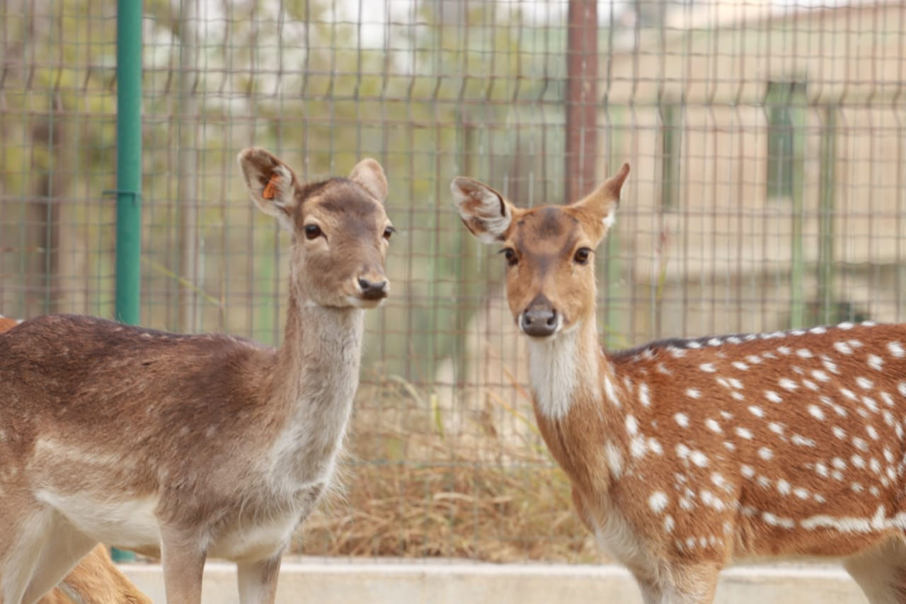 بمناسبة شهر رمضان المبارك متنزه الزوراء يفتتح ابوابه يوميا وعلى مدار الاسبوع من الساعه الــ9 ىصباحا ولغاية ساعات متأخرة من الليل ..
اهلا وسهلا بكم .


**إذا كنت صاحب هذا الإعلان وتريد حذفه لأي سبب، رجاءا أرسل رسالة إلى الدعم الفني**