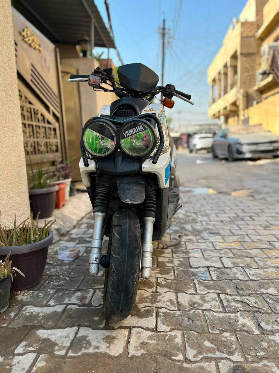 سلام عليكم سكنس جبلي بلاد للبيع مكفوله كفاله عامه مال رمبه تخبل ونظيفه بلاديه ع حطتها مكان بغداد رقم ***********
