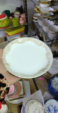 فرفوي اوربي • توصيل • حي سومر