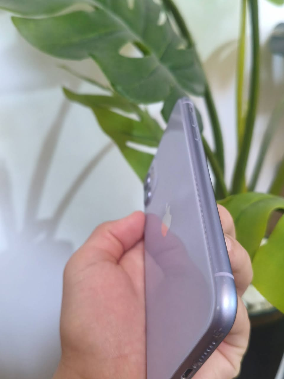ايفون 11 عادي ــــــــــــ iPhone 11
بطاريه 72 
شاشه الاصليه مخططه + بيها شخط 
موضح بالصور 
ذاكره 128
الجهاز مو وتر بروف بدلت شاشه تجاريه وانكسرت ورجعت على الاصليه مالته 
السعر مناسب حيل ✔️


**إذا كنت صاحب هذا الإعلان وتريد حذفه لأي سبب، رجاءا أرسل رسالة إلى الدعم الفني**