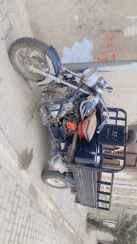 ستوته • 2014 • كوفه