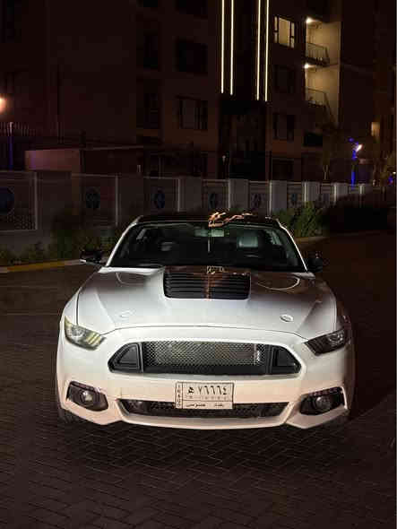 حبايب للمراوس فقط للمراوس مابيع شعندك مراوس نزل

موستنك (بي فورمنس بكج )السيارا فول الفول  برميوم يعني ١/١ ماكو هيج مواصفات بل عراق اكو لو ثنين لو ٣ بس  

فدوة اقرا المواصفات و كلشي كاتب 

رقم بغداد شبه مميز 👑

موديل ١٥  مراوس 

السيارا ايكو مكينة جديدة 🆕 بل باكيت شرط 

السيارا خير من الله مصروف عليها كلش هواي 

السيارا عليها هواي اضافات ((لحاية 

تغطيس شكو بلاستكة بل بنيد بحيث موشم كامل قبغ المكينة و الى اخره)) 

الموصفات ((دشبول سبع الوان 🔮كيجات بل دشبول كشنات ممري خزن جلد تتدفئة تبريد تحكم كهرباء ⚡️ شاشة 📺بلادية كامرة ستير تحكمات جهتين شفتات بصمة (( مري شفط ))

((داتة شو بيها بل دشبول مالت سرعة و تتحول تعرض التلفون على الجامة ) (اكسل شيلبي بلاد)( فجوج برمبو اصل ) (لويات ريسنك الزرك بس هذني بذاك الحساب )

(رادار بيها بس يحتاج تبدل الجمة تشد وحدة تدعم الرادار )(عليها اكس بايب صالنصات ) 
(سستم صوت بلادي بي ٢٤ سماعة 🔊 ودمام خلفي بل صندوك ) و بيها خير من الله سوالف و تفاصيل 

السيارة ماشاءالله بيها سوالف كلش حلوة

السيارا طلقة بمعنة الكلمة صاروخ 🚀 
 السونار مع الصور موجود 
بيها تحديث بجم شيلبي جاملغات و الباب بيها كلير و الجاملغ الي ورا بي كلير يعني السيارا بلا معجون  السيارا كلين  خليجي  بدون دواخل  بس  رصعة ببداية القمارة لانه البنيد طاير على القمارة بس القمارة مكفولة من الصبغ والمعجون والكص وكلشي   السيارا جانت مالت سرمد 
 نقص السيارا فقط سطاب اكسل خلفي 
و كشرها شوي بي ملاحضات يحتاج ترتيب 
للمراوس فقط 

مكاني بغداد حي الجهاد 

رقمي *********** بغداد
