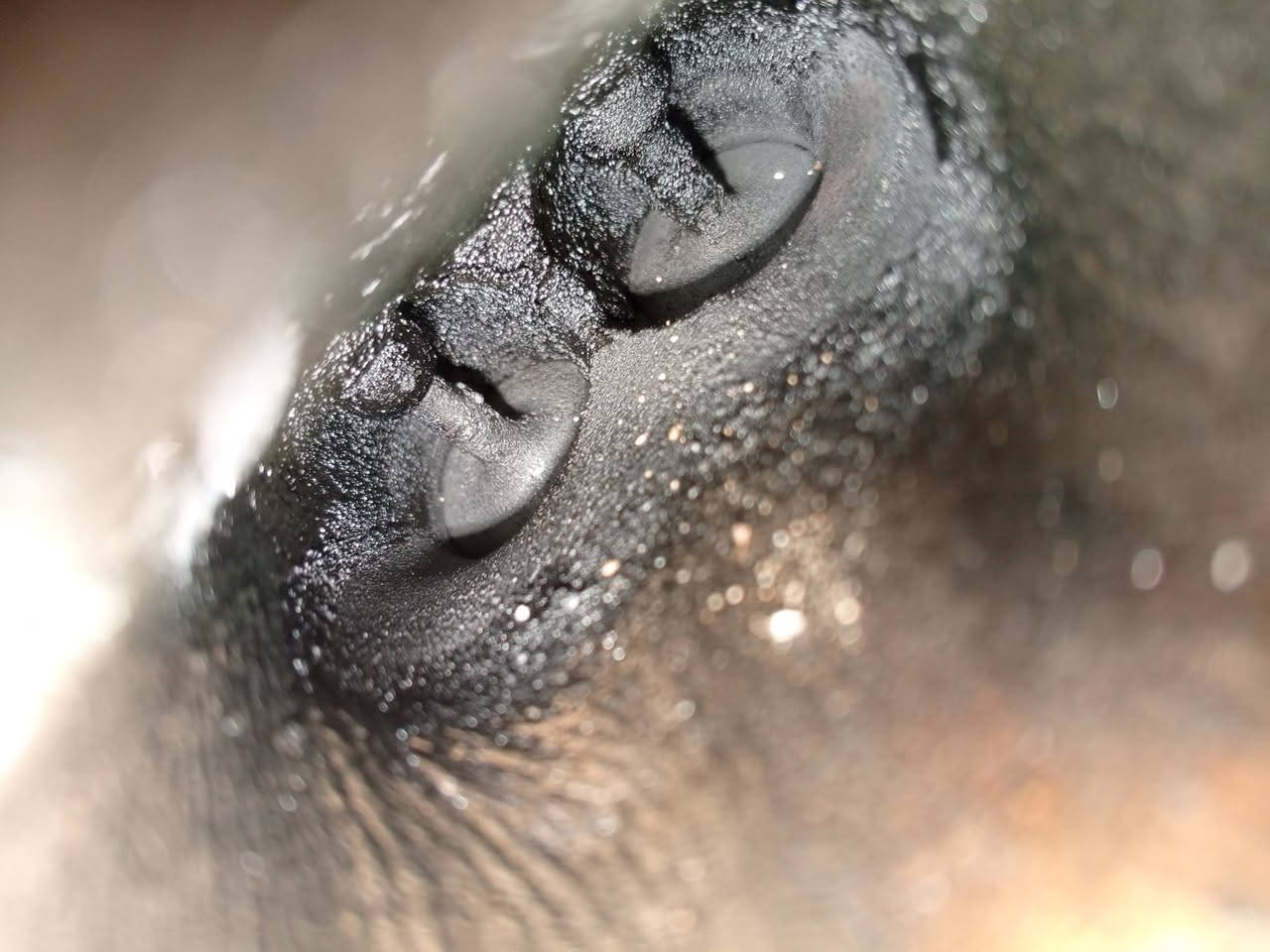 ادامة محرك النترا 2012 بتاريخ الاثنين 2026/2/23
1 / تنضيف غرف الاحتراق الولفات بمادة قشور الجوز  💥
2 / فحص النوزلات +واشرات+فايبرات  ✅
3 / فحص المجاول خارجيا بجهاز           ✅
4 / فحص الفيت بم وخط الراجع بالجهاز.✅
5 / فتح وتبديل البلكات       .      ✅
6 / تنضيف الجويتر مع البرمجة.  ✅
7 / تنضيف حساسات الكام شفت ✅
8 / تنضيف حساسات. VVT.       ✅
9 / فحص حساس الاوكسجين     ✅
10/ تنضيف. ولف التبخير            ✅
11/ تنضيف سطح المحرك بفوم   ✅
12/ برمجة السيارة بعد العمل  💛👍

مركز المصطفى لبرمجة وادامة السيارات 
بأدارة مصطفى الموسوي. ***********

سيارات الاربعة سلندر 50 الف 
سيارات الستة سلندر.  65 الف
