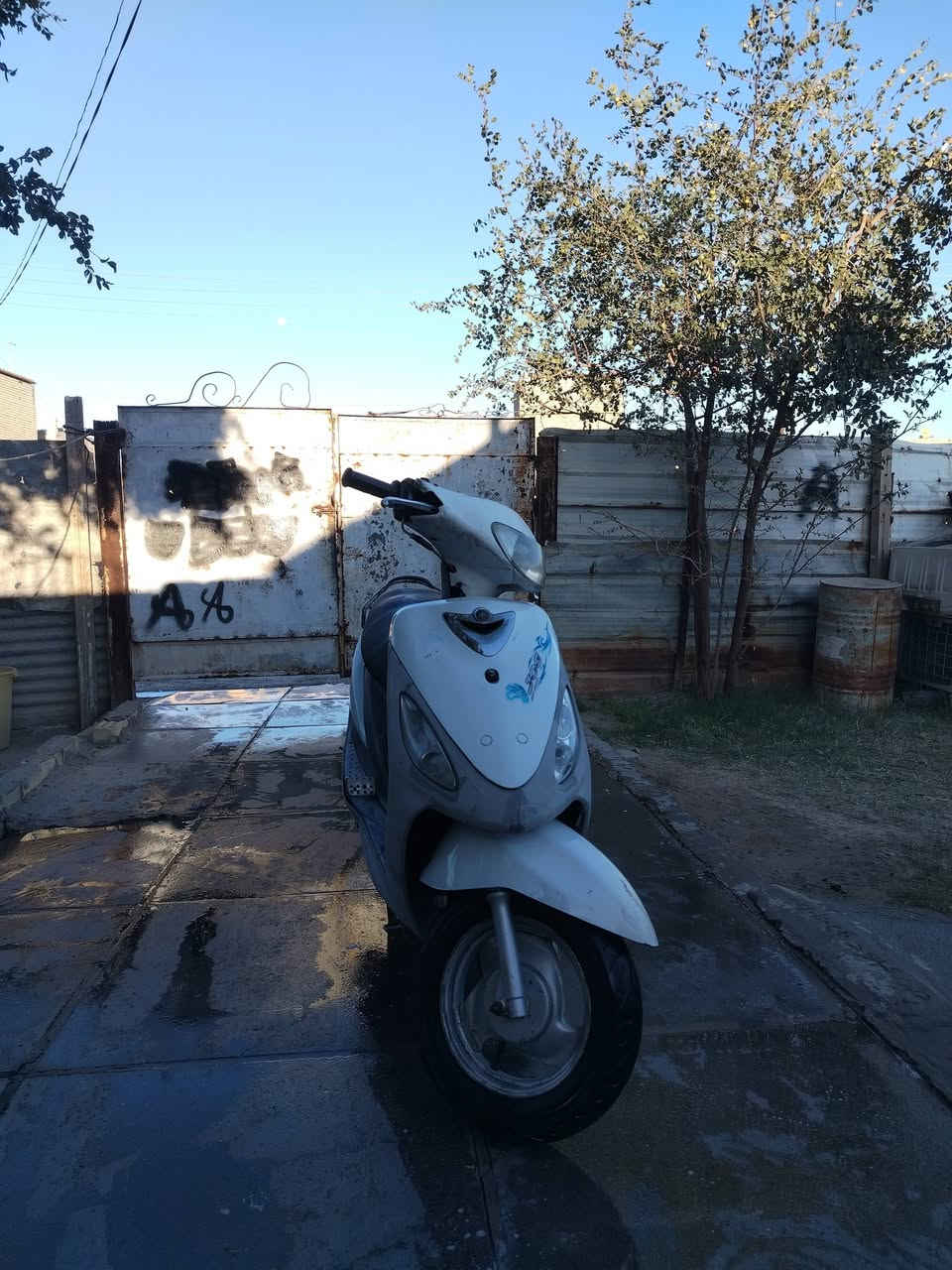 السلام عليكم تم النشر المره ال 30 🤣 بسبب الوعود الكاذبه ماكس منغولي للبيع او مراوس اب عدله السعر 350 قفلل قفلل. رقم الهاتف *********** مكاني سبع البور قرب التاجي...! 💟
