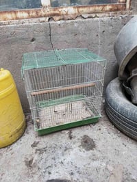 قفص طيور • ٤٢×٤٢ • بصرة زبير