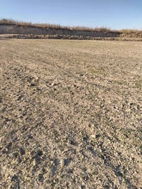 دونم • واجهة شط ٤١م • حي الحكيم