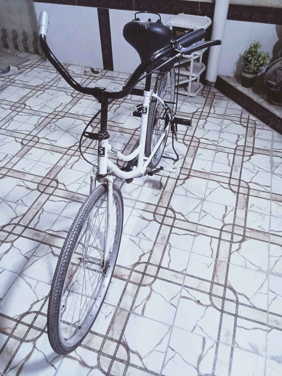 للبيع او مراوس


**إذا كنت صاحب هذا الإعلان وتريد حذفه لأي سبب، رجاءا أرسل رسالة إلى الدعم الفني**