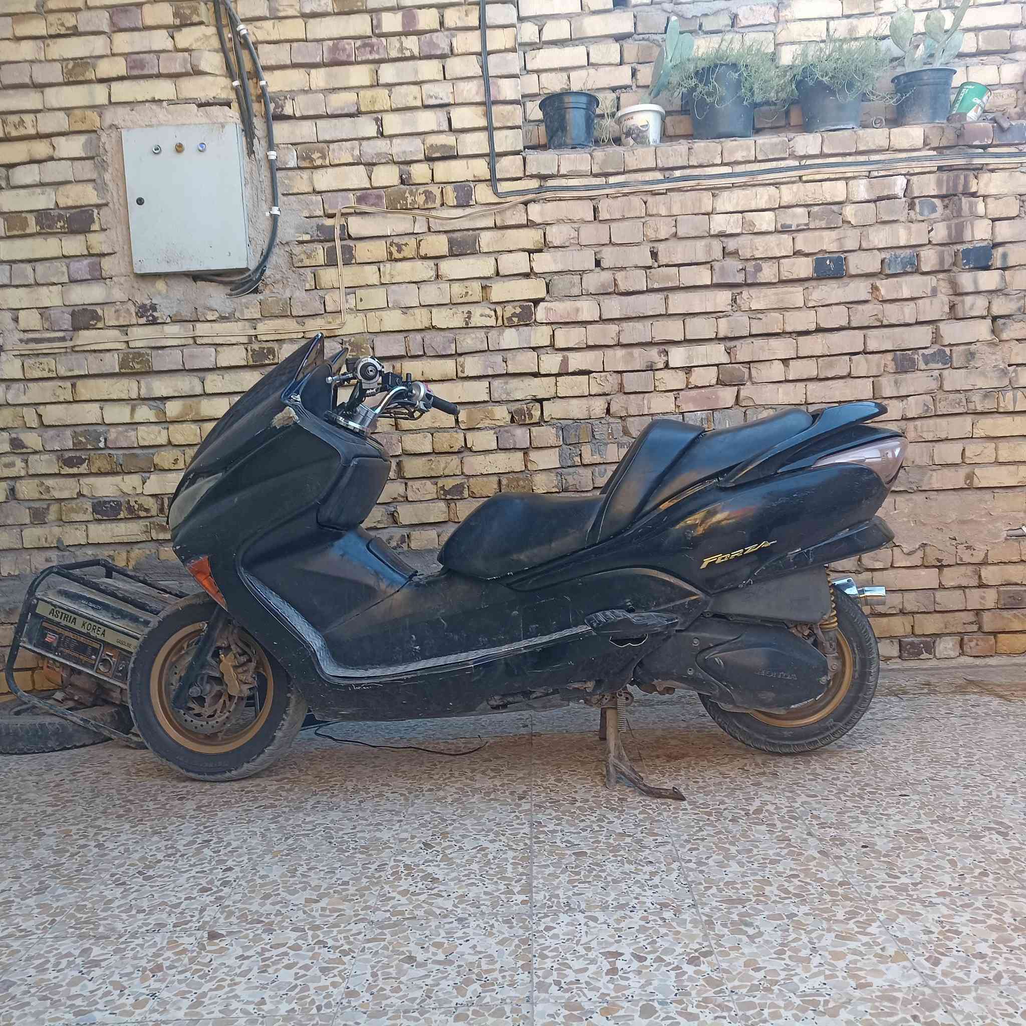 فورزه 08
تخم تاير.
سعر 500
الشراي يتصل عل رقم انه مكلف بل نشر 
***********
