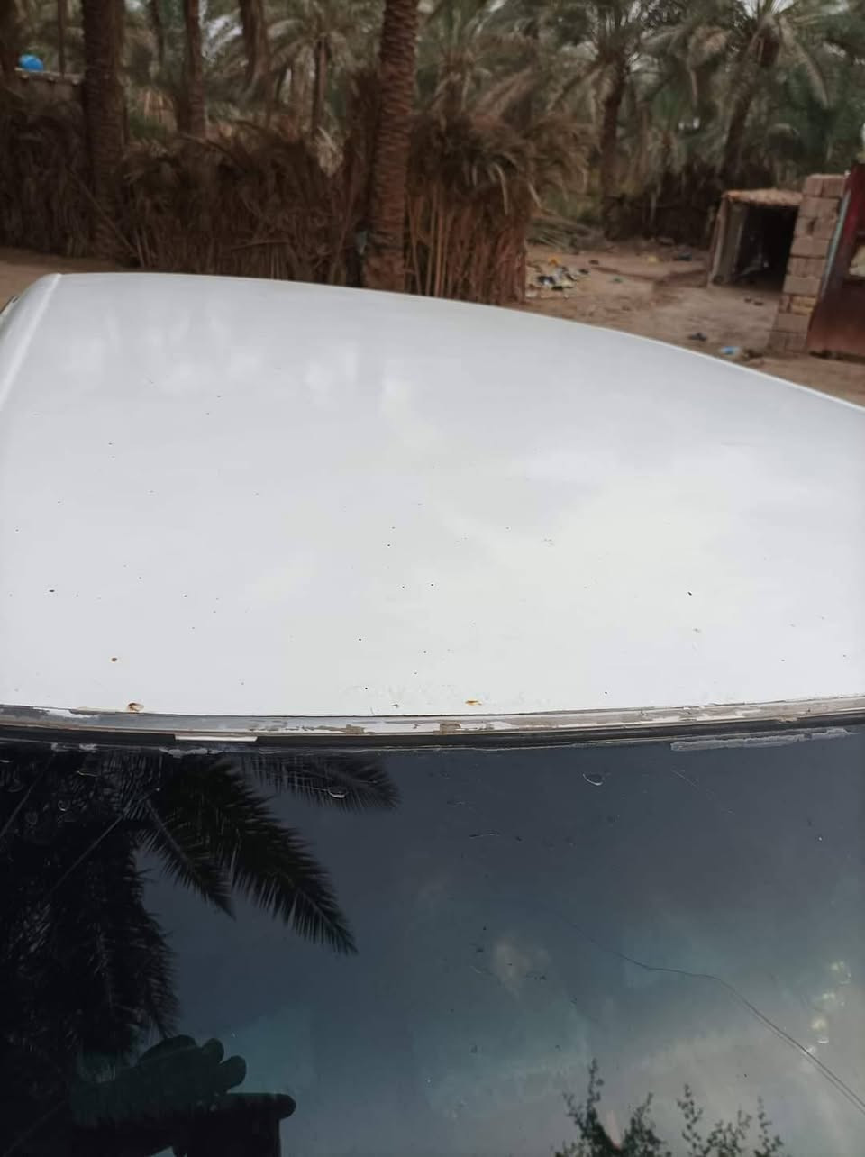 سلام عليكم
سياره سيدان موديل 91 سياره جديده رقم انكليزي باسمي تحويل ثاني يوم محرك بيه شخطه يعني عوزه تجفيت سياره جاهزه ماعده المحرك. نضيفه تجي وتشوف وتقتنع يلا تاخذه حلوه كلش كير محرك ونجي.رقم انكليزي انبار مشروع وطني  سعر(25) وبيه مجال كلش قليل حك الجيه. الشراي يتصل ع رقم ***********وبيه خير ويدلل
