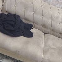 تخم البيع ب 250 بي مجال 8مقاعد رقم وتساب 07887802259