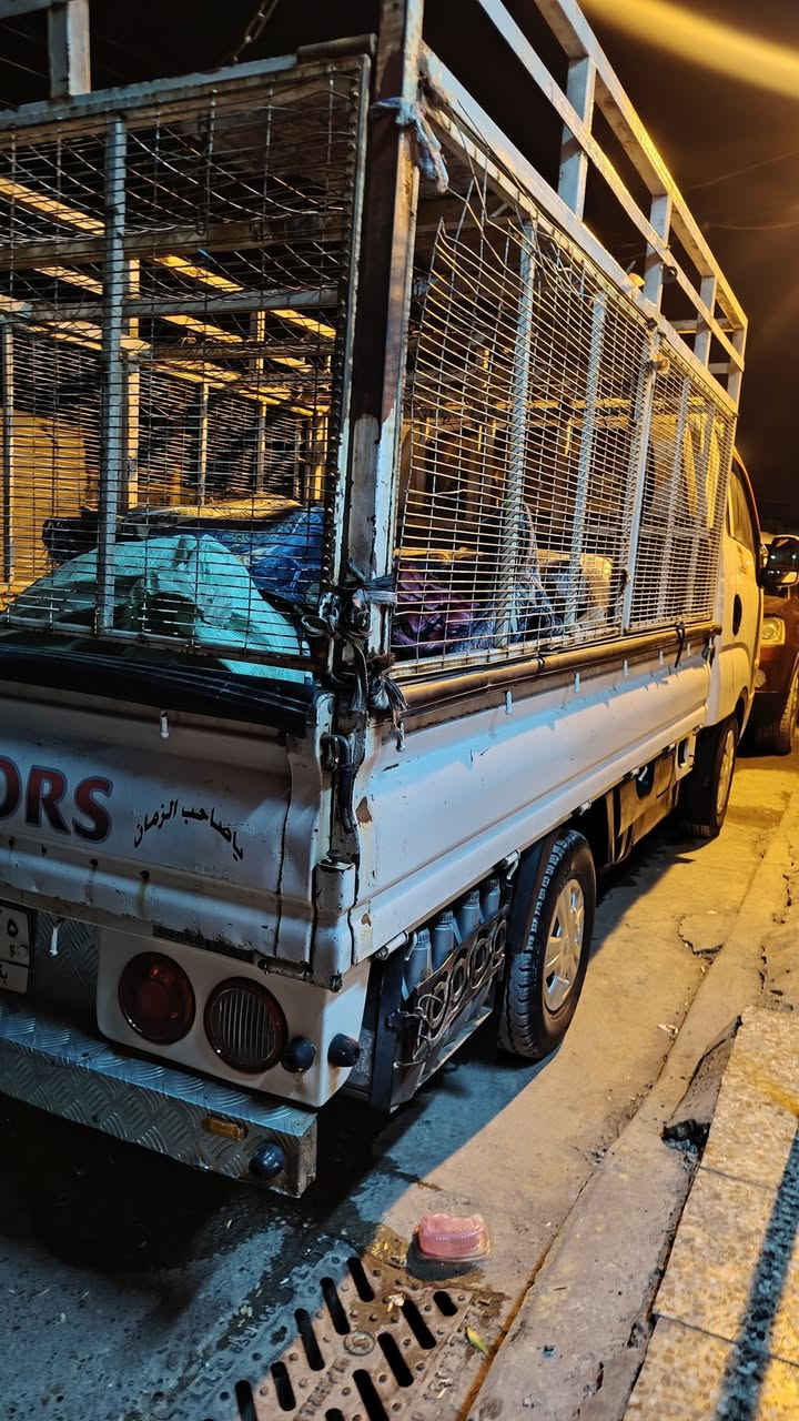 سلام عليكم كية حمل للبيع موديل 2008 رقم بغداد تحويل ثاني يوم مكفولة كفالة عامة من كير وكسل وشاصي ورقم شاصي محرك مسكر بم ونوزل قبل شهرين شادة تخم تاير جديد (ملاحظة بدون محجر) ***********
