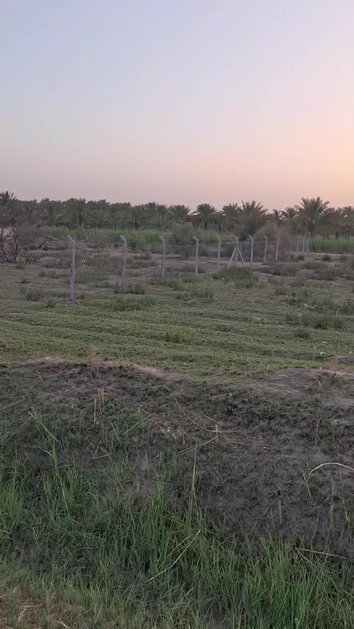 السلام عليكم للبيع ارض زراعي ٣دوانم طابوزراعي سند٢٥ كافت الخدمات بابل حله النيل قرب الانضباط استفسار ***********
