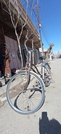 دراجة • السليمانية • سەنگەسەر