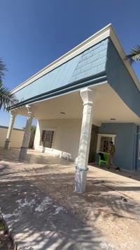 زنبور ديالى • تجديد واجهة • توحيد الألوان