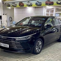 بي واي دي سيل • ٢٠٢٥ • مرقّم نجف