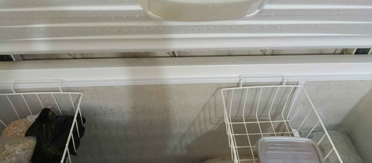 مجمدة نضيفه واخت الجديده نضافه فول شرط التجميد حجمها قــــ16ـدم بغداد, العراق


**إذا كنت صاحب هذا الإعلان وتريد حذفه لأي سبب، رجاءا أرسل رسالة إلى الدعم الفني**