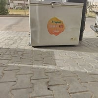 مجمده • بلاديه