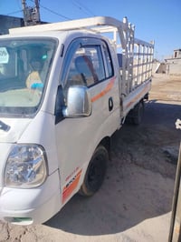 حمل • ٢٠٠٨ • رقم كركوك