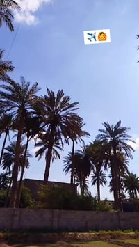 نامه • موديل ٢٥ • اوراق اصولي