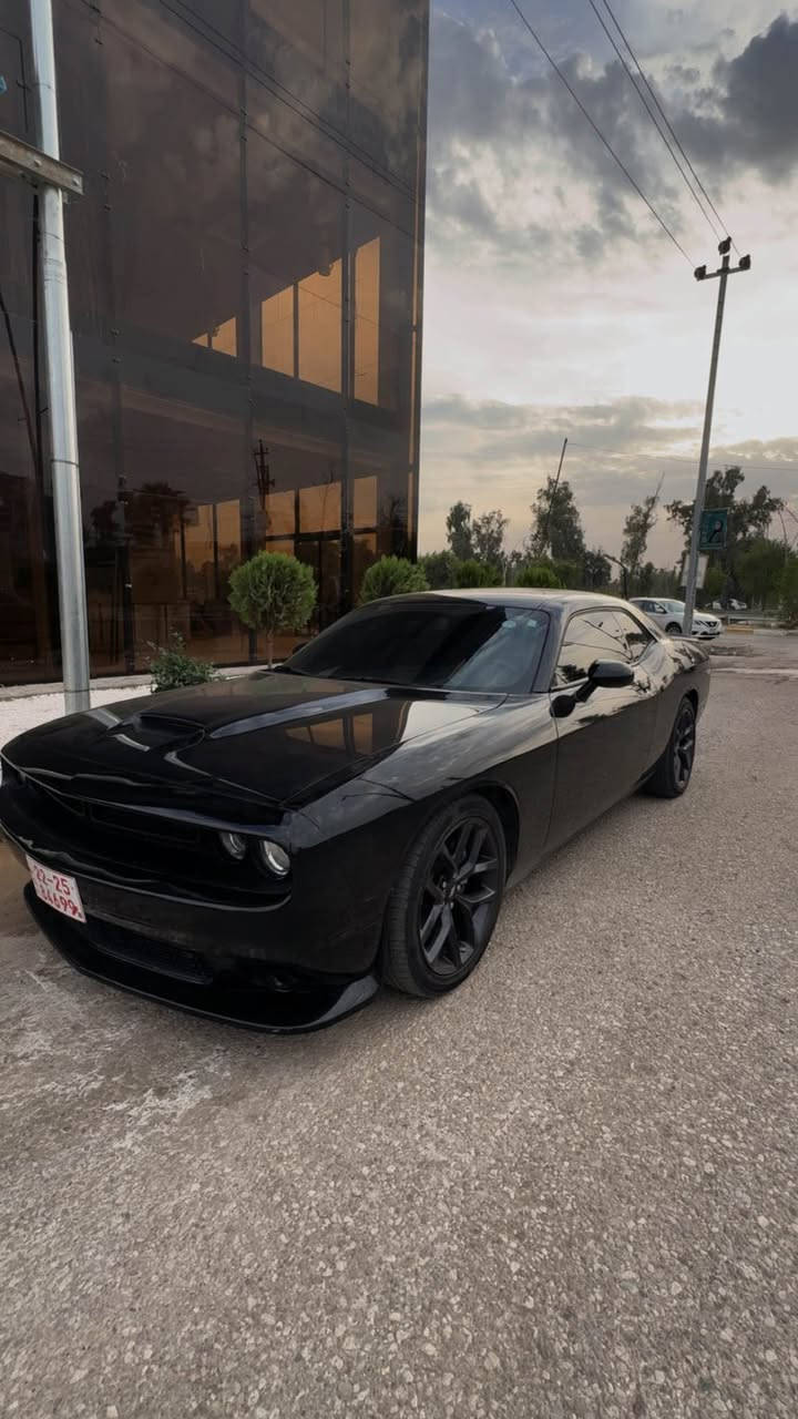 جالنجر نظيفة gt موديل 2023 الي عنده موستنك gt نظيفة ويحب يراوس يعلق ومكان موصل او اربيل Singapore


**إذا كنت صاحب هذا الإعلان وتريد حذفه لأي سبب، رجاءا أرسل رسالة إلى الدعم الفني**