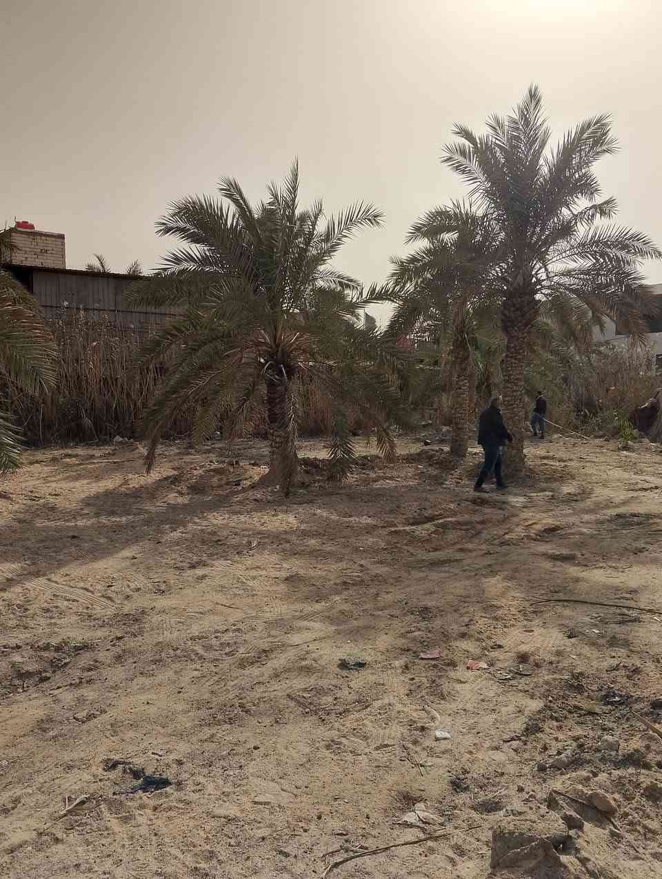 السلام عليكم يتوفر قطعه للبيع مساحه 600متر طابو صرف تحويل بسم المشتر عله نهر كل الخدمات متوفره العنوان ابو الخصيب العميريه قرب سوك ابو الخصيب وسعر كلش مناسب 125وبي مجال ***********
