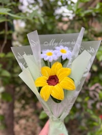 متابعه • دعم • مشروع جديد