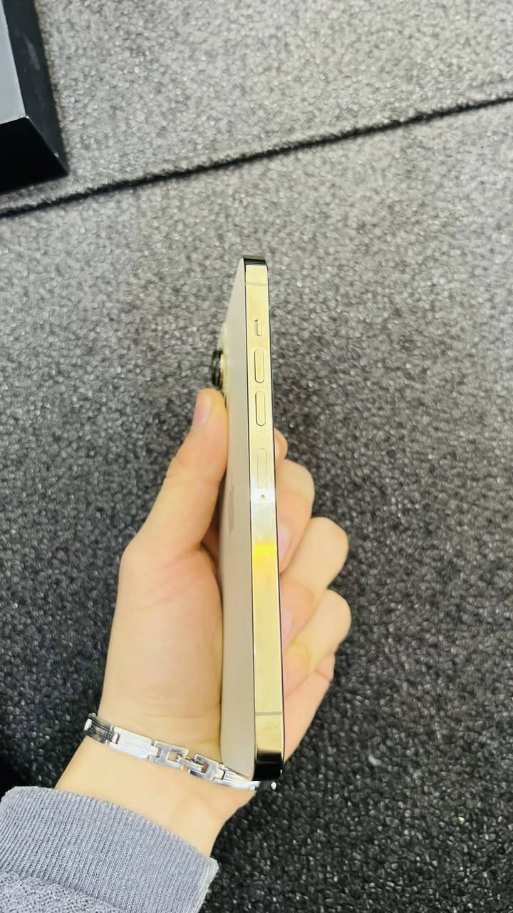 13 برو ماكس 
بطاريه 90
ذاكره 256
نضيف كلش كلش 
ملحقات كامله كارتون وكيبل 
لون ذهبي 
محدث آخر تحديث 
ناصرية مركز 
***********
