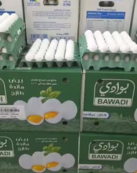 تخفيضات رمضانية • سنتر بلاش • كربلاء حي رمضان