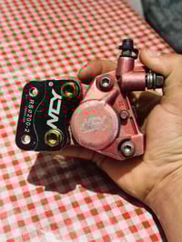 اصلي • نجف • نضافته ١٠٠